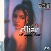 alt-img