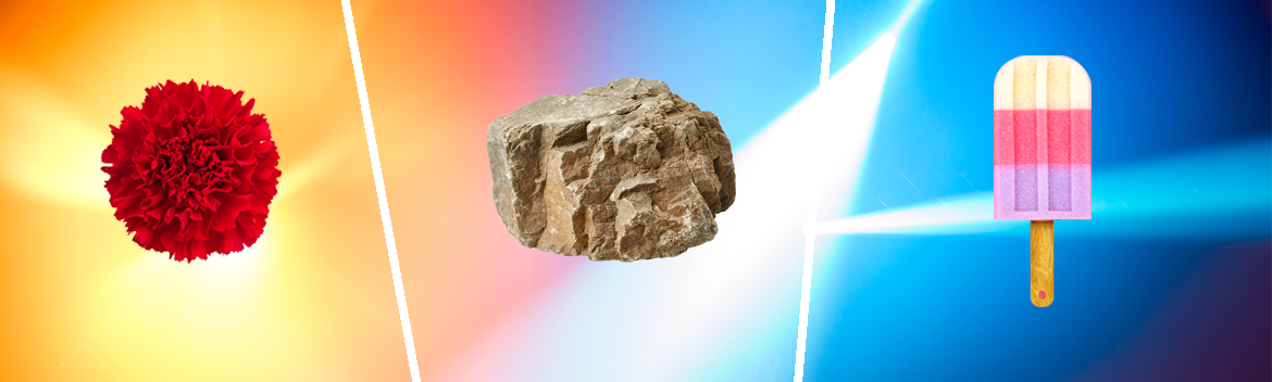 bannerImg